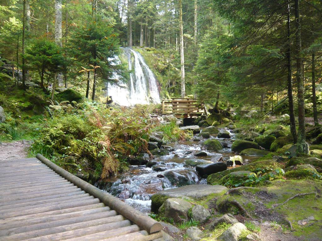 Chalet Luxe 12 Personnes Spa Sauna Vosges-Gerardmer Le Tholy Buitenkant foto
