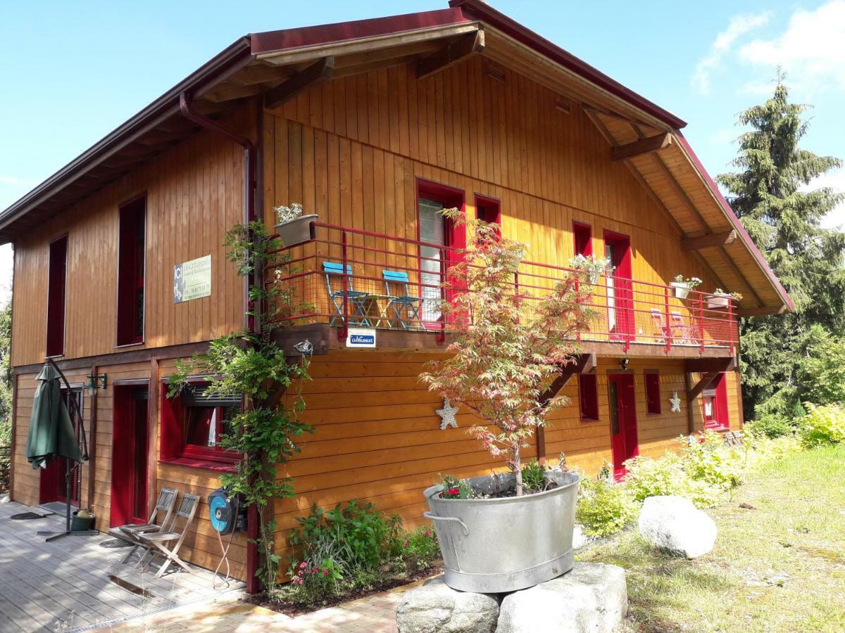 Chalet Luxe 12 Personnes Spa Sauna Vosges-Gerardmer Le Tholy Buitenkant foto