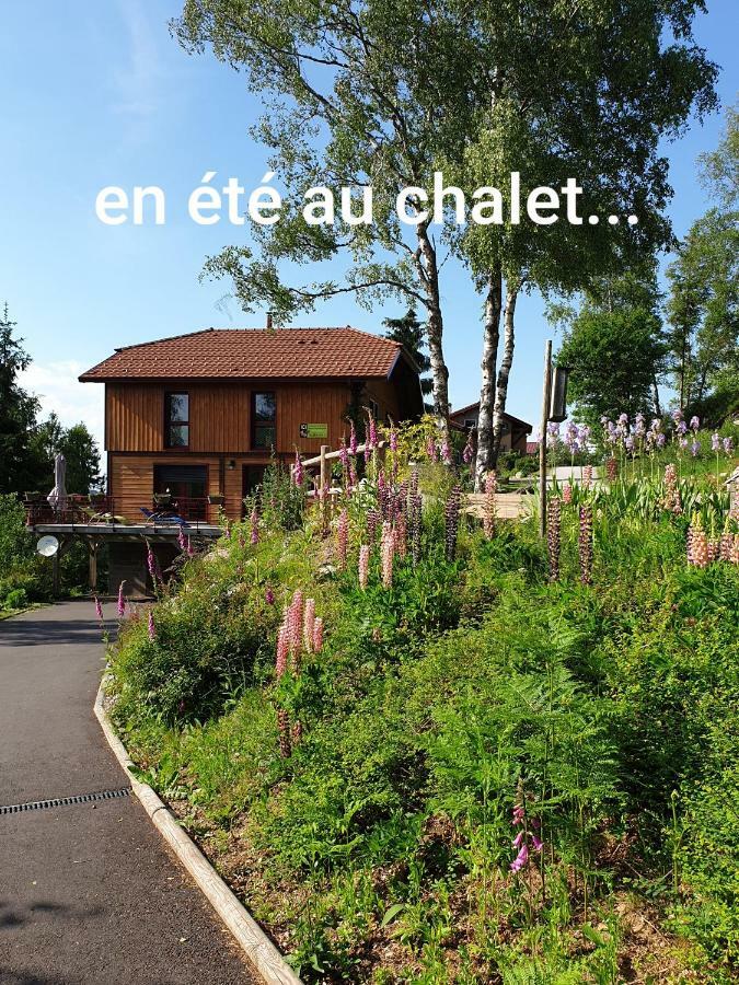 Chalet Luxe 12 Personnes Spa Sauna Vosges-Gerardmer Le Tholy Buitenkant foto
